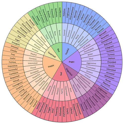 The feelings wheel, originally developed by Dr. Gloria Wilcox, is a powerful journalling tool for making sense of your emotions.