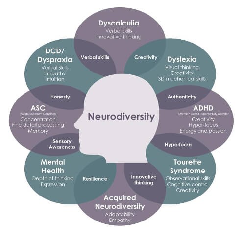 Infographic showing the unique talents associated with different neurodiversity conditions. Visual by Dr. Nancy Doyle based on the work of Mary Colley.
